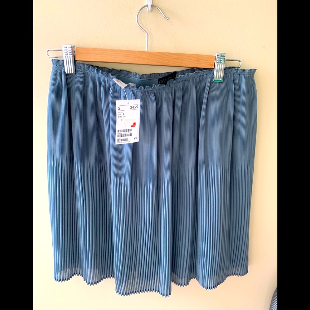 H&M skirt